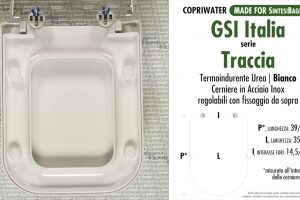 SCHEDA TECNICA MISURE copriwater FACIS/GSI TRACCIA
